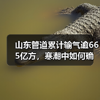 山东管道累计输气逾665亿方，寒潮中如何确保供气安全？（图2）