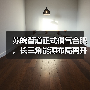 苏皖管道正式供气合肥，长三角能源布局再升级（图3）
