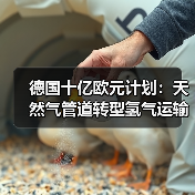 德国十亿欧元计划:天然气管道转型氢气运输?(图4) 德国十亿欧元计划:天然气管道转型氢气运输?(图4)