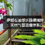 伊朗石油部长强硬指控:天然气管道爆炸系以色列特工阴谋(图2) 伊朗石油部长强硬指控:天然气管道爆炸系以色列特工阴谋(图2)