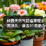 陕西天然气管道里程全国领先，覆盖91县助力能源转型（图4）
