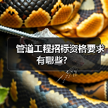 管道工程招标资格要求有哪些？（图4）
