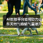 AI智能平台如何助力山东天然气输销气量提升34%(图4) AI智能平台如何助力山东天然气输销气量提升34%(图4)