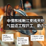 中俄东线嫩江支线天然气管道工程开工,助力 中俄东线嫩江支线天然气管道工程开工,助力