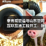 泰青威管道与山东管网互联互通工程开工,提升区域天然气输送能力(图2) 泰青威管道与山东管网互联互通工程开工,提升区域天然气输送能力(图2)
