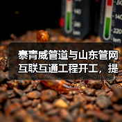 泰青威管道与山东管网互联互通工程开工,提升区域天然气输送能力(图1) 泰青威管道与山东管网互联互通工程开工,提升区域天然气输送能力(图1)