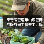 泰青威管道与山东管网互联互通工程开工,提升区域天然气输送能力(图3) 泰青威管道与山东管网互联互通工程开工,提升区域天然气输送能力(图3)