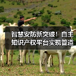 智慧安防新突破！自主知识产权平台实现管道巡护精准预警（图3）