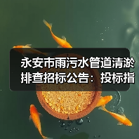 永安市雨污水管道清淤排查招标公告:投标指南(图3) 永安市雨污水管道清淤排查招标公告:投标指南(图3)