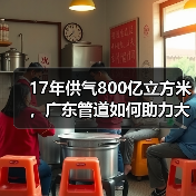 17年供气800亿立方米,广东管道如何助力大湾区减排?(图4) 17年供气800亿立方米,广东管道如何助力大湾区减排?(图4)
