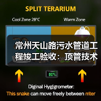 常州天山路污水管道工程竣工验收：顶管技术攻克施工难题（图2）