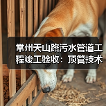 常州天山路污水管道工程竣工验收：顶管技术攻克施工难题