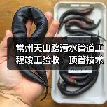 常州天山路污水管道工程竣工验收：顶管技术攻克施工难题（图3）