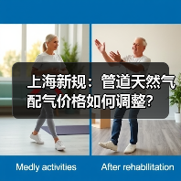 上海新规：管道天然气配气价格如何调整？（图3）