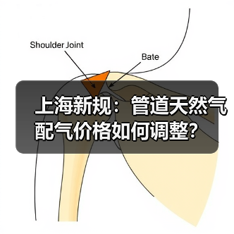 上海新规：管道天然气配气价格如何调整？（图4）