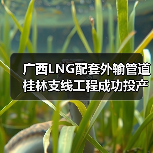 广西LNG配套外输管道桂林支线工程成功投产 克服山区焊接难题（图2）