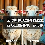 云浮新兴天然气管道土石方工程招标,参与条件有哪些要求?(图2) 云浮新兴天然气管道土石方工程招标,参与条件有哪些要求?(图2)