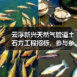 云浮新兴天然气管道土石方工程招标,参与条件有哪些要求?(图3) 云浮新兴天然气管道土石方工程招标,参与条件有哪些要求?(图3)