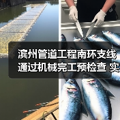 滨州管道工程南环支线通过机械完工预检查 实现接气外输条件(图2) 滨州管道工程南环支线通过机械完工预检查 实现接气外输条件(图2)