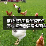 核能供热工程关键节点完成 换热器管道水压试验成功通过