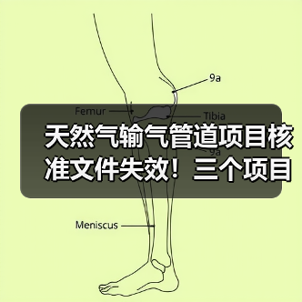 天然气输气管道项目核准文件失效!三个项目遭取消(图3) 天然气输气管道项目核准文件失效!三个项目遭取消(图3)