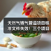 天然气输气管道项目核准文件失效!三个项目遭取消(图4) 天然气输气管道项目核准文件失效!三个项目遭取消(图4)