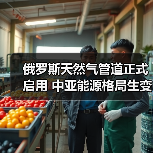 俄罗斯天然气管道正式启用 中亚能源格局生变（图3）