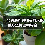北溪爆炸真相迷雾未散 俄方坚持透明调查（图2）