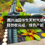涠洲油田伴生天然气项目验收完成，绿色产能释放提速（图4）