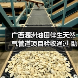 广西涠洲油田伴生天然气管道项目验收通过 助力绿色低碳发展(图4) 广西涠洲油田伴生天然气管道项目验收通过 助力绿色低碳发展(图4)