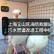 上海宝山区消防救援站污水管道改造工程中标结果揭晓(图3) 上海宝山区消防救援站污水管道改造工程中标结果揭晓(图3)