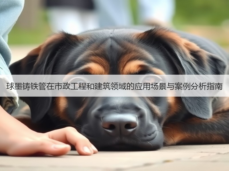 球墨铸铁管在市政工程和建筑领域的应用场景与案例分析指南